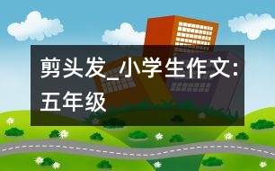 剪頭發(fā)_小學(xué)生作文:五年級(jí)