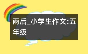 雨后_小學生作文:五年級