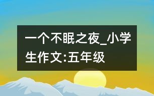 一個(gè)不眠之夜_小學(xué)生作文:五年級(jí)