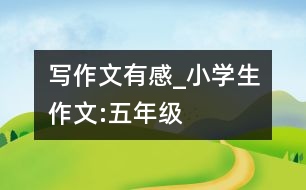 寫(xiě)作文有感_小學(xué)生作文:五年級(jí)