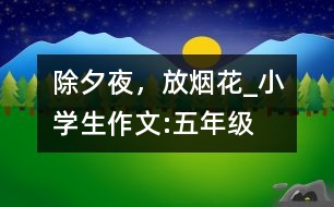 除夕夜，放煙花_小學(xué)生作文:五年級