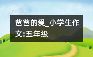 爸爸的愛_小學(xué)生作文:五年級(jí)