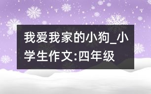 我愛我家的小狗_小學生作文:四年級