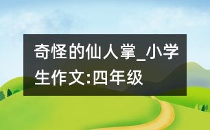 奇怪的仙人掌_小學(xué)生作文:四年級