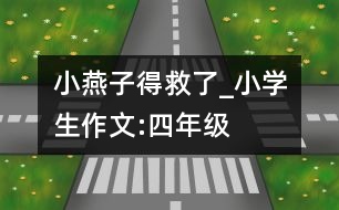 小燕子得救了_小學(xué)生作文:四年級(jí)