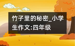 竹子里的秘密_小學(xué)生作文:四年級(jí)