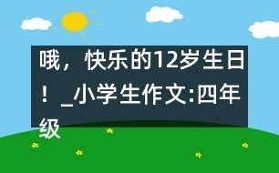 哦，快樂(lè)的12歲生日！_小學(xué)生作文:四年級(jí)