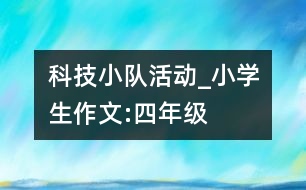 科技小隊活動_小學生作文:四年級