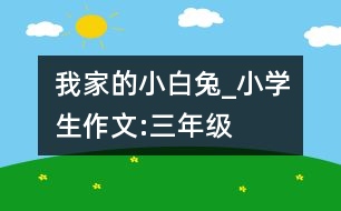 我家的小白兔_小學生作文:三年級