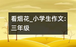 看煙花_小學生作文:三年級