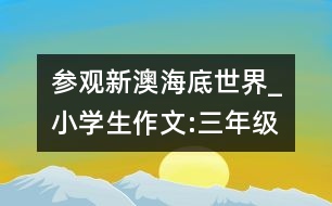 參觀新澳海底世界_小學(xué)生作文:三年級(jí)