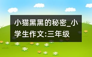 小貓黑黑的秘密_小學(xué)生作文:三年級