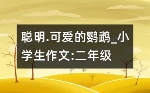 聰明.可愛的鸚鵡_小學(xué)生作文:二年級(jí)