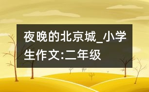 夜晚的北京城_小學(xué)生作文:二年級