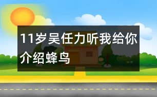 11歲吳任力：聽我給你介紹蜂鳥