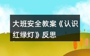 大班安全教案《認(rèn)識紅綠燈》反思