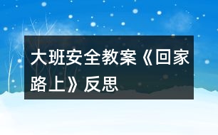 大班安全教案《回家路上》反思