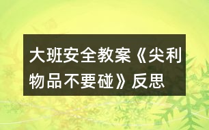 大班安全教案《尖利物品不要碰》反思