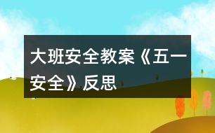 大班安全教案《五一安全》反思