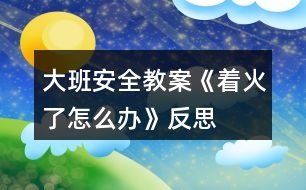 大班安全教案《著火了怎么辦》反思