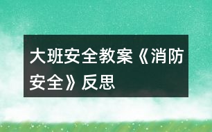 大班安全教案《消防安全》反思