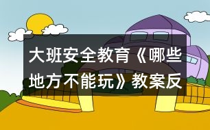 大班安全教育《哪些地方不能玩》教案反思