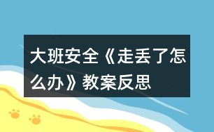 大班安全《走丟了怎么辦》教案反思