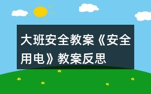 大班安全教案《安全用電》教案反思