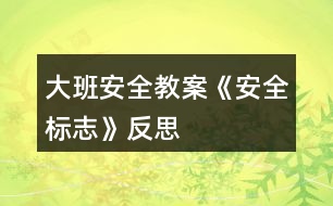 大班安全教案《安全標志》反思