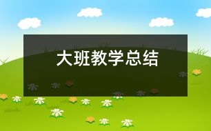 大班教學(xué)總結(jié)