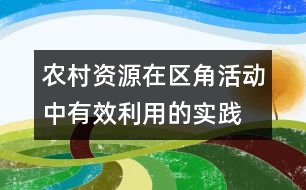 農(nóng)村資源在區(qū)角活動中有效利用的實踐