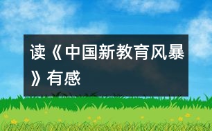 讀《中國新教育風(fēng)暴》有感