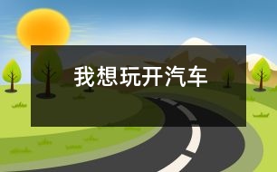 我想玩“開汽車”