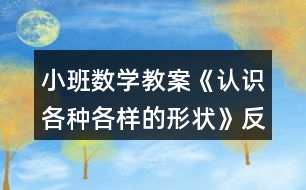 小班數(shù)學(xué)教案《認(rèn)識各種各樣的形狀》反思