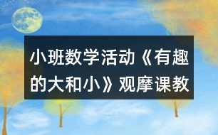 小班數(shù)學活動《有趣的大和小》觀摩課教案與教學反思