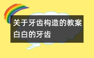 關(guān)于牙齒構(gòu)造的教案：白白的牙齒