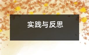 實(shí)踐與反思