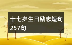 十七歲生日勵(lì)志短句257句