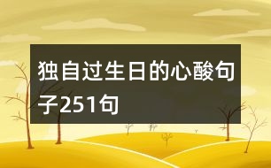 獨(dú)自過生日的心酸句子251句