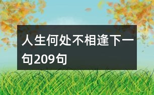 人生何處不相逢下一句209句