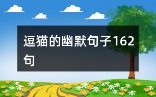 逗貓的幽默句子162句