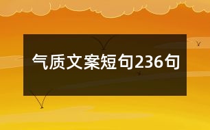 氣質(zhì)文案短句236句