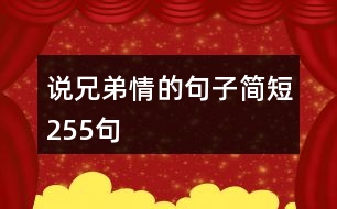 說兄弟情的句子簡短255句