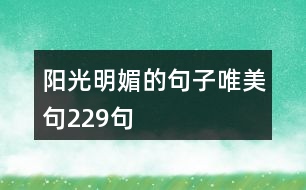 陽(yáng)光明媚的句子唯美句229句