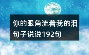 你的眼角流著我的淚句子說說192句