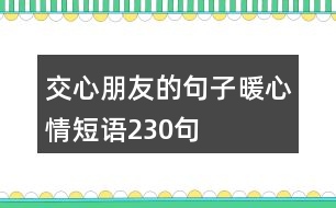 交心朋友的句子暖心情短語230句