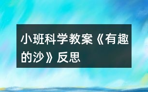 小班科學(xué)教案《有趣的沙》反思