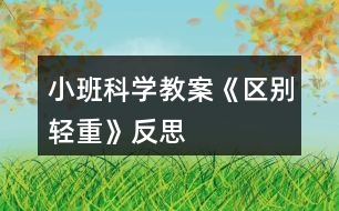 小班科學(xué)教案《區(qū)別輕重》反思