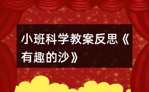 小班科學教案反思《有趣的沙》