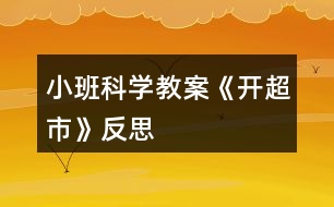 小班科學教案《開超市》反思